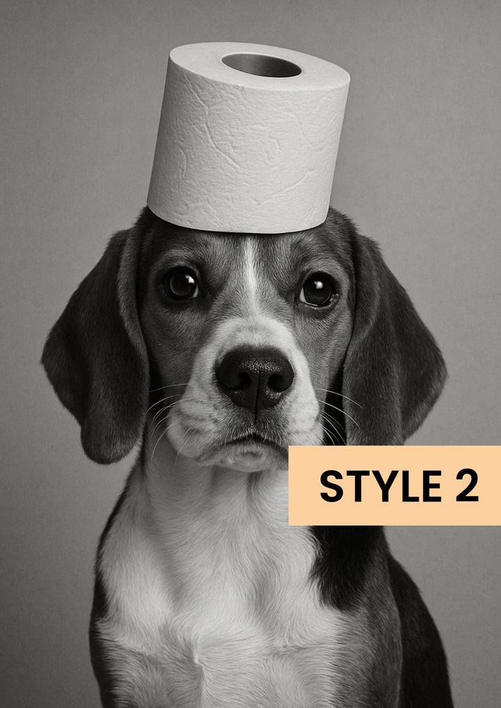 Style02