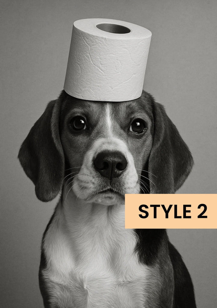 Style02